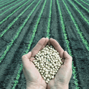 Agricultura